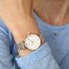 EMPORIO ARMANI Ladies Watch AR1683